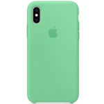 Husa de protectie Apple pentru iPhone X / XS, Spermint