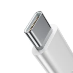 Casti cu fir JR-EC05, Joyroom, Polimer, USB-C, Alb