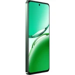 Telefon mobil Oppo Reno12 FS, 12GB RAM, 512GB, 5G, Olive Green